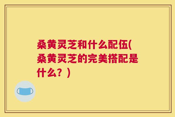 桑黄灵芝和什么配伍(桑黄灵芝的完美搭配是什么?) 桑黄灵芝和什么配伍(桑黄灵芝的完美搭配是什么?)