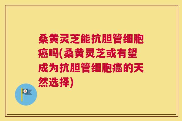 桑黄灵芝能抗胆管细胞吗(桑黄灵芝或有望成为抗胆管细胞的天然选择) 桑黄灵芝能抗胆管细胞吗(桑黄灵芝或有望成为抗胆管细胞的天然选择)