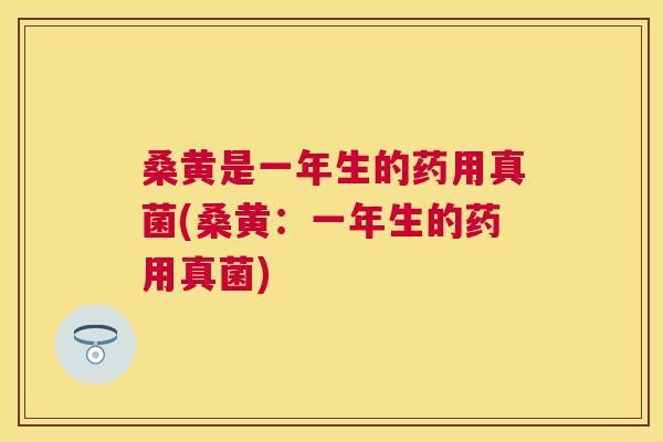 桑黄是一年生的药用真菌(桑黄:一年生的药用真菌) 桑黄是一年生的药用真菌(桑黄:一年生的药用真菌)