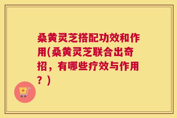 桑黄灵芝搭配功效和作用(桑黄灵芝联合出奇招,有哪些疗效与作用?) 桑黄灵芝搭配功效和作用(桑黄灵芝联合出奇招,有哪些疗效与作用?)