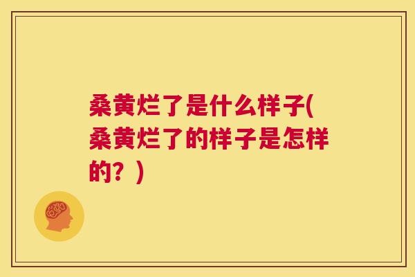 桑黄烂了是什么样子(桑黄烂了的样子是怎样的?) 桑黄烂了是什么样子(桑黄烂了的样子是怎样的?)
