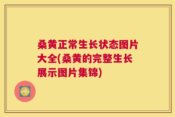 桑黄正常生长状态图片大全(桑黄的完整生长展示图片集锦) 桑黄正常生长状态图片大全(桑黄的完整生长展示图片集锦)