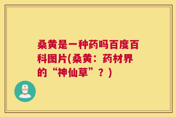 桑黄是一种药吗百度百科图片(桑黄:药材界的“神仙草”?) 桑黄是一种药吗百度百科图片(桑黄:药材界的“神仙草”?)
