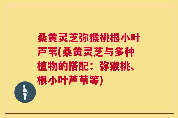 桑黄灵芝弥猴桃根小叶芦苇(桑黄灵芝与多种植物的搭配:弥猴桃、根小叶芦苇等) 桑黄灵芝弥猴桃根小叶芦苇(桑黄灵芝与多种植物的搭配:弥猴桃、根小叶芦苇等)