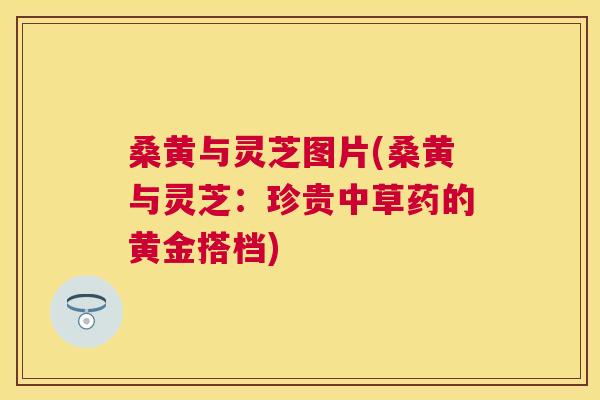 桑黄与灵芝图片(桑黄与灵芝：珍贵中草药的黄金搭档)