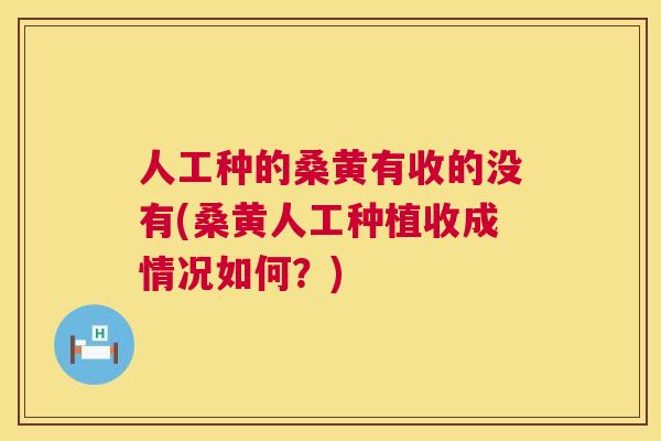 人工种的桑黄有收的没有(桑黄人工种植收成情况如何?) 人工种的桑黄有收的没有(桑黄人工种植收成情况如何?)