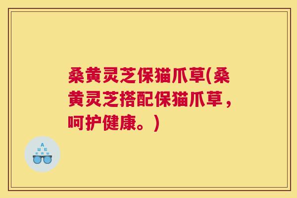 桑黄灵芝保猫爪草(桑黄灵芝搭配保猫爪草,呵护健康。) 桑黄灵芝保猫爪草(桑黄灵芝搭配保猫爪草,呵护健康。)