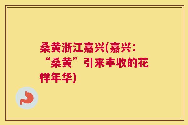 桑黄浙江嘉兴(嘉兴:“桑黄”引来丰收的花样年华) 桑黄浙江嘉兴(嘉兴:“桑黄”引来丰收的花样年华)