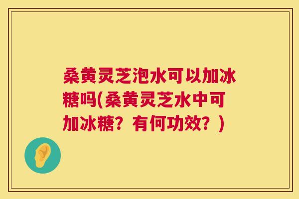 桑黄灵芝泡水可以加冰糖吗(桑黄灵芝水中可加冰糖？有何功效？)