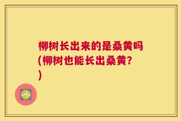 柳树长出来的是桑黄吗(柳树也能长出桑黄?) 柳树长出来的是桑黄吗(柳树也能长出桑黄?)