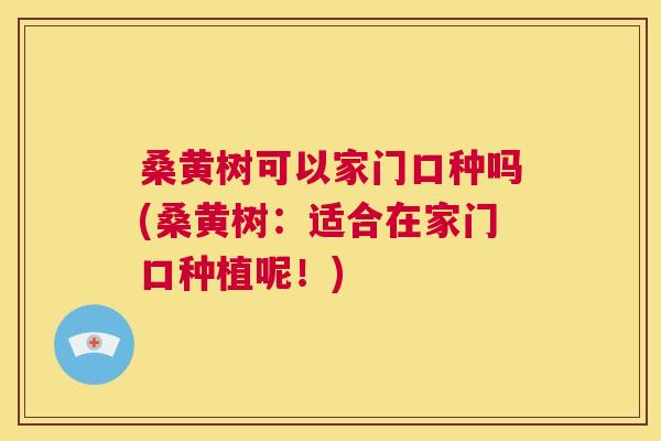 桑黄树可以家门口种吗(桑黄树:适合在家门口种植呢!) 桑黄树可以家门口种吗(桑黄树:适合在家门口种植呢!)