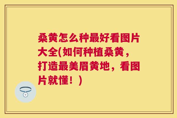 桑黄怎么种好看图片大全(如何种植桑黄,打造美眉黄地,看图片就懂!) 桑黄怎么种好看图片大全(如何种植桑黄,打造美眉黄地,看图片就懂!)