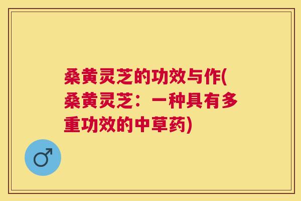 桑黄灵芝的功效与作(桑黄灵芝:一种具有多重功效的中草药) 桑黄灵芝的功效与作(桑黄灵芝:一种具有多重功效的中草药)