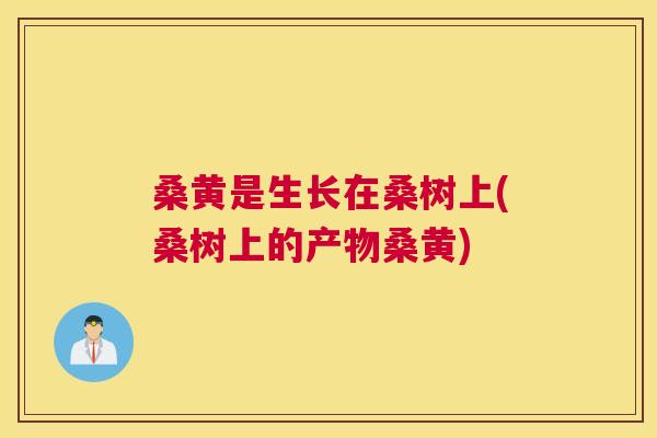 桑黄是生长在桑树上(桑树上的产物桑黄) 桑黄是生长在桑树上(桑树上的产物桑黄)