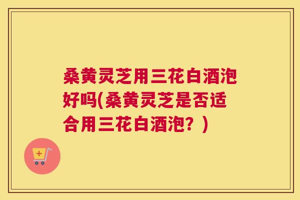 桑黄灵芝用三花白酒泡好吗(桑黄灵芝是否适合用三花白酒泡?) 桑黄灵芝用三花白酒泡好吗(桑黄灵芝是否适合用三花白酒泡?)