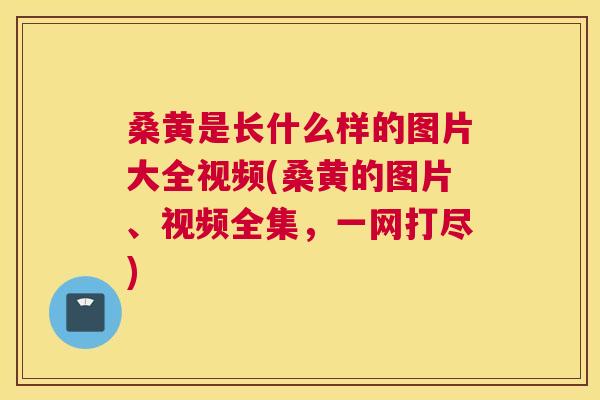 桑黄是长什么样的图片大全视频(桑黄的图片、视频全集,一网打尽) 桑黄是长什么样的图片大全视频(桑黄的图片、视频全集,一网打尽)