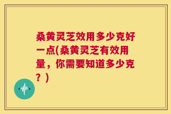 桑黄灵芝效用多少克好一点(桑黄灵芝有效用量,你需要知道多少克?) 桑黄灵芝效用多少克好一点(桑黄灵芝有效用量,你需要知道多少克?)