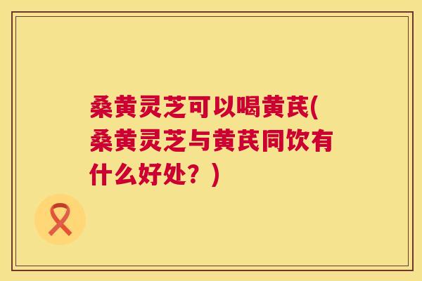 桑黄灵芝可以喝黄芪(桑黄灵芝与黄芪同饮有什么好处?) 桑黄灵芝可以喝黄芪(桑黄灵芝与黄芪同饮有什么好处?)