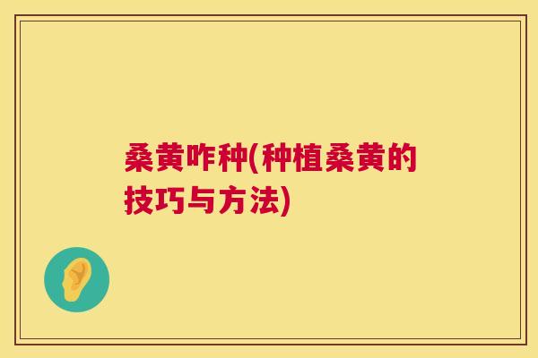 桑黄咋种(种植桑黄的技巧与方法) 桑黄咋种(种植桑黄的技巧与方法)