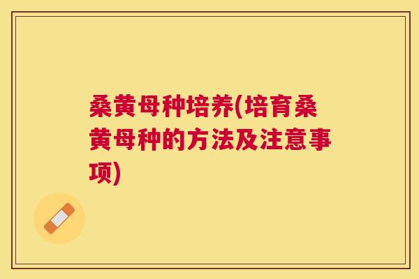 桑黄母种培养(培育桑黄母种的方法及注意事项) 桑黄母种培养(培育桑黄母种的方法及注意事项)