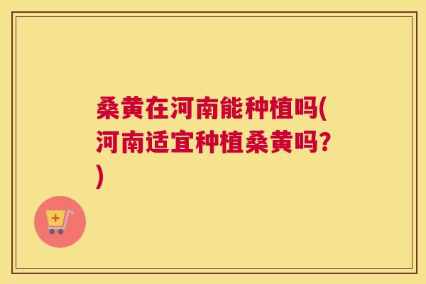 桑黄在河南能种植吗(河南适宜种植桑黄吗?) 桑黄在河南能种植吗(河南适宜种植桑黄吗?)