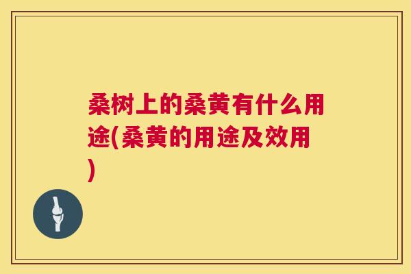 桑树上的桑黄有什么用途(桑黄的用途及效用)