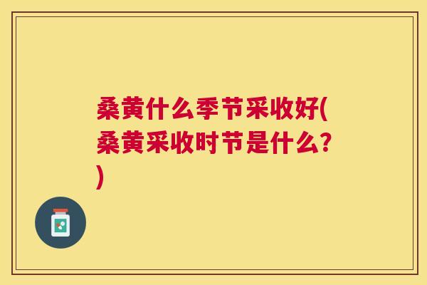桑黄什么季节采收好(桑黄采收时节是什么?) 桑黄什么季节采收好(桑黄采收时节是什么?)
