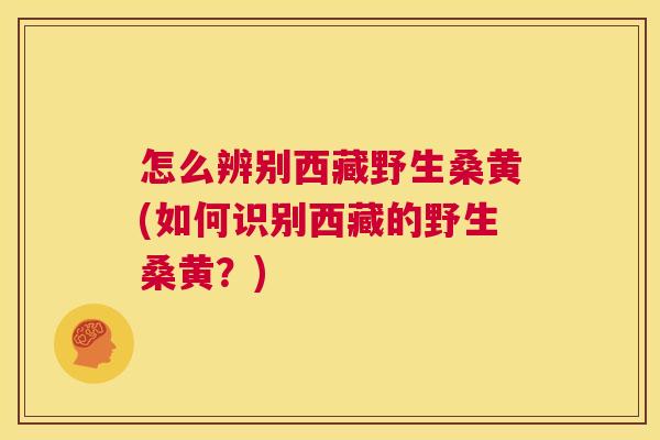 怎么辨别西藏野生桑黄(如何识别西藏的野生桑黄?) 怎么辨别西藏野生桑黄(如何识别西藏的野生桑黄?)
