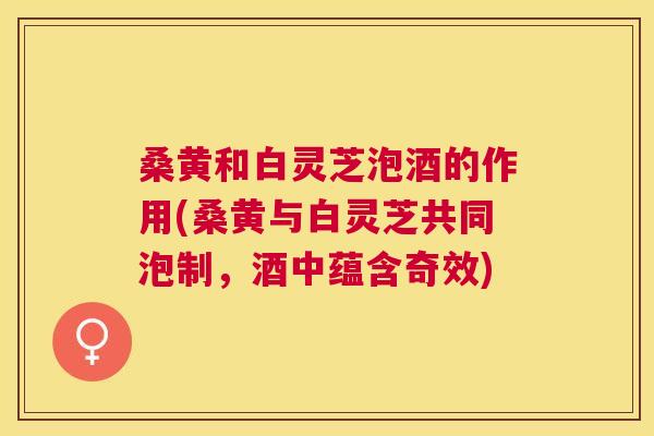 桑黄和白灵芝泡酒的作用(桑黄与白灵芝共同泡制,酒中蕴含奇效) 桑黄和白灵芝泡酒的作用(桑黄与白灵芝共同泡制,酒中蕴含奇效)