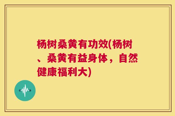 杨树桑黄有功效(杨树、桑黄有益身体,自然健康福利大) 杨树桑黄有功效(杨树、桑黄有益身体,自然健康福利大)