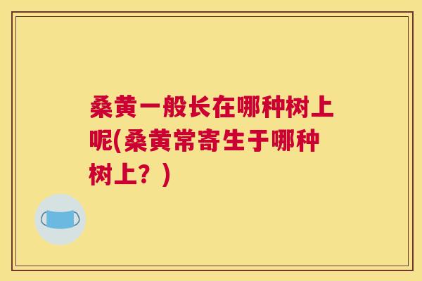 桑黄一般长在哪种树上呢(桑黄常寄生于哪种树上?) 桑黄一般长在哪种树上呢(桑黄常寄生于哪种树上?)