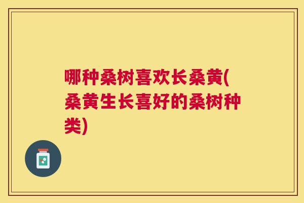 哪种桑树喜欢长桑黄(桑黄生长喜好的桑树种类) 哪种桑树喜欢长桑黄(桑黄生长喜好的桑树种类)