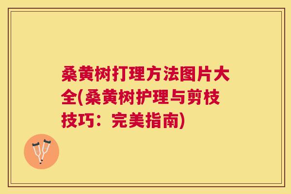 桑黄树打理方法图片大全(桑黄树护理与剪枝技巧：完美指南)