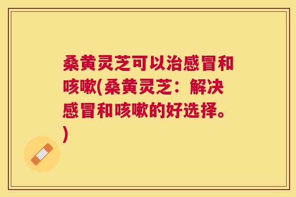 桑黄灵芝可以和(桑黄灵芝:解决和的好选择。) 桑黄灵芝可以和(桑黄灵芝:解决和的好选择。)