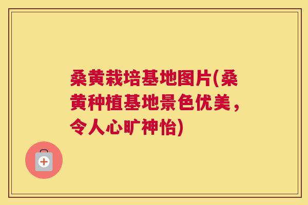 桑黄栽培基地图片(桑黄种植基地景色优美,令人心旷神怡) 桑黄栽培基地图片(桑黄种植基地景色优美,令人心旷神怡)