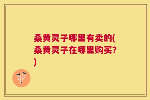 桑黄灵子哪里有卖的(桑黄灵子在哪里购买？)