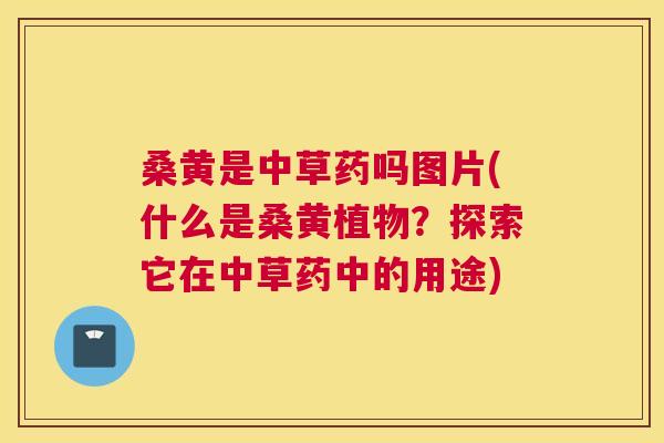 桑黄是中草药吗图片(什么是桑黄植物?探索它在中草药中的用途) 桑黄是中草药吗图片(什么是桑黄植物?探索它在中草药中的用途)