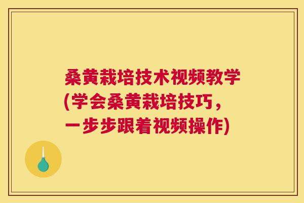 桑黄栽培技术视频教学(学会桑黄栽培技巧，一步步跟着视频操作)