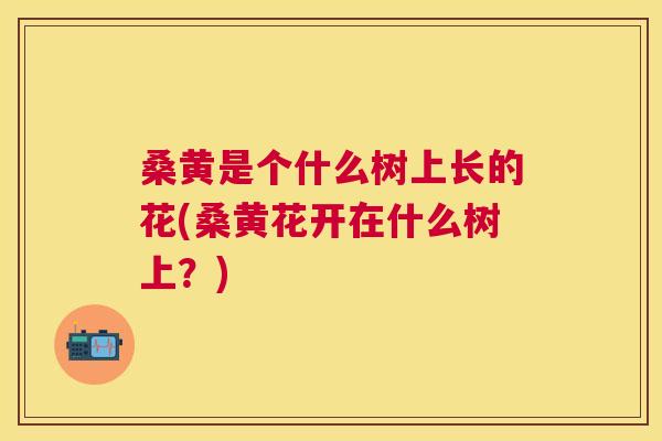 桑黄是个什么树上长的花(桑黄花开在什么树上?) 桑黄是个什么树上长的花(桑黄花开在什么树上?)