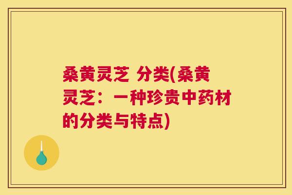 桑黄灵芝 分类(桑黄灵芝:一种珍贵材的分类与特点) 桑黄灵芝 分类(桑黄灵芝:一种珍贵材的分类与特点)