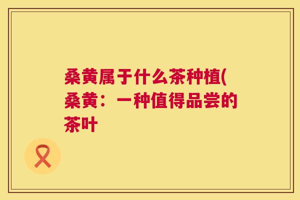 桑黄属于什么茶种植(桑黄:一种值得品尝的茶叶 桑黄属于什么茶种植(桑黄:一种值得品尝的茶叶