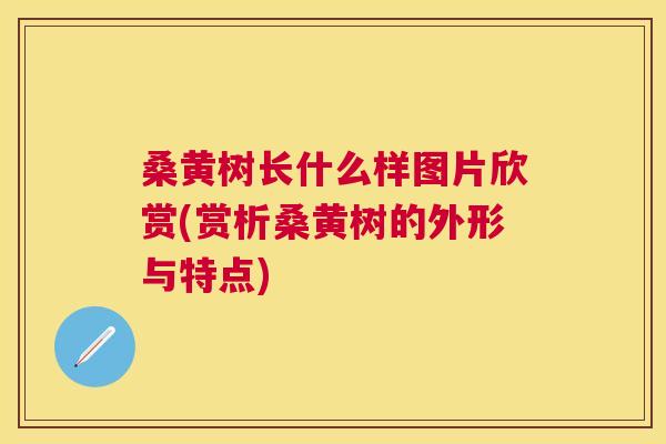 桑黄树长什么样图片欣赏(赏析桑黄树的外形与特点) 桑黄树长什么样图片欣赏(赏析桑黄树的外形与特点)