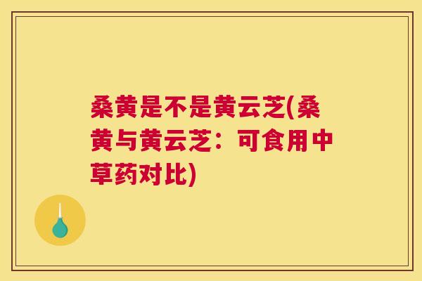 桑黄是不是黄云芝(桑黄与黄云芝:可食用中草药对比) 桑黄是不是黄云芝(桑黄与黄云芝:可食用中草药对比)