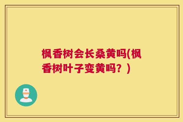 枫香树会长桑黄吗(枫香树叶子变黄吗?) 枫香树会长桑黄吗(枫香树叶子变黄吗?)