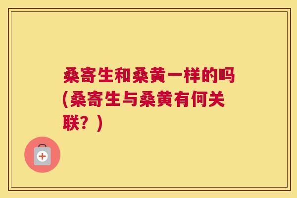 桑寄生和桑黄一样的吗(桑寄生与桑黄有何关联?) 桑寄生和桑黄一样的吗(桑寄生与桑黄有何关联?)