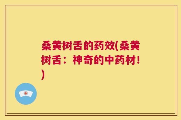 桑黄树舌的(桑黄树舌:神奇的材!) 桑黄树舌的(桑黄树舌:神奇的材!)