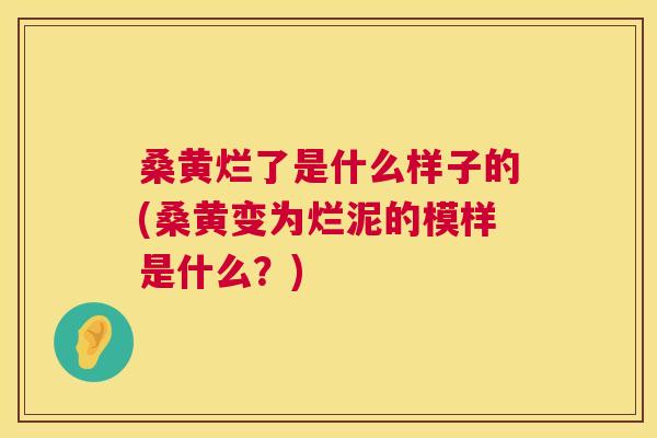 桑黄烂了是什么样子的(桑黄变为烂泥的模样是什么?) 桑黄烂了是什么样子的(桑黄变为烂泥的模样是什么?)