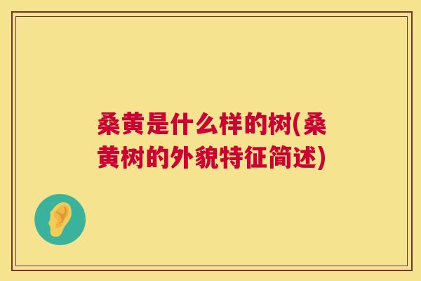 桑黄是什么样的树(桑黄树的外貌特征简述) 桑黄是什么样的树(桑黄树的外貌特征简述)