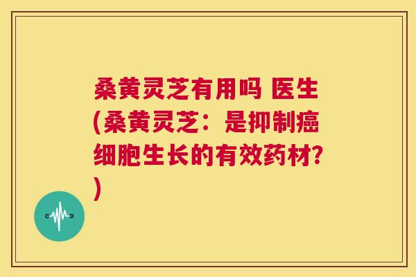 桑黄灵芝有用吗 医生(桑黄灵芝:是抑制细胞生长的有效药材?) 桑黄灵芝有用吗 医生(桑黄灵芝:是抑制细胞生长的有效药材?)