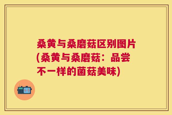 桑黄与桑磨菇区别图片(桑黄与桑磨菇:品尝不一样的菌菇美味) 桑黄与桑磨菇区别图片(桑黄与桑磨菇:品尝不一样的菌菇美味)